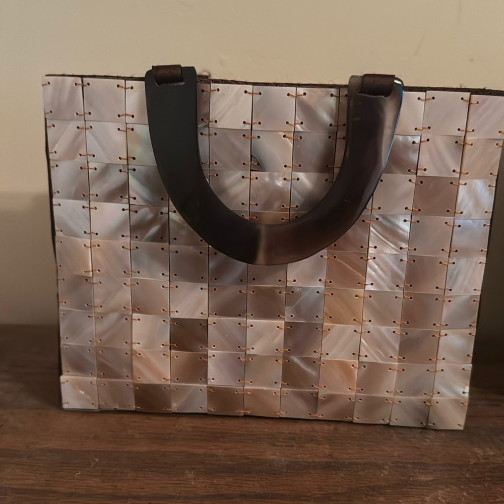 Mother of pearl tortoise shell evening bag